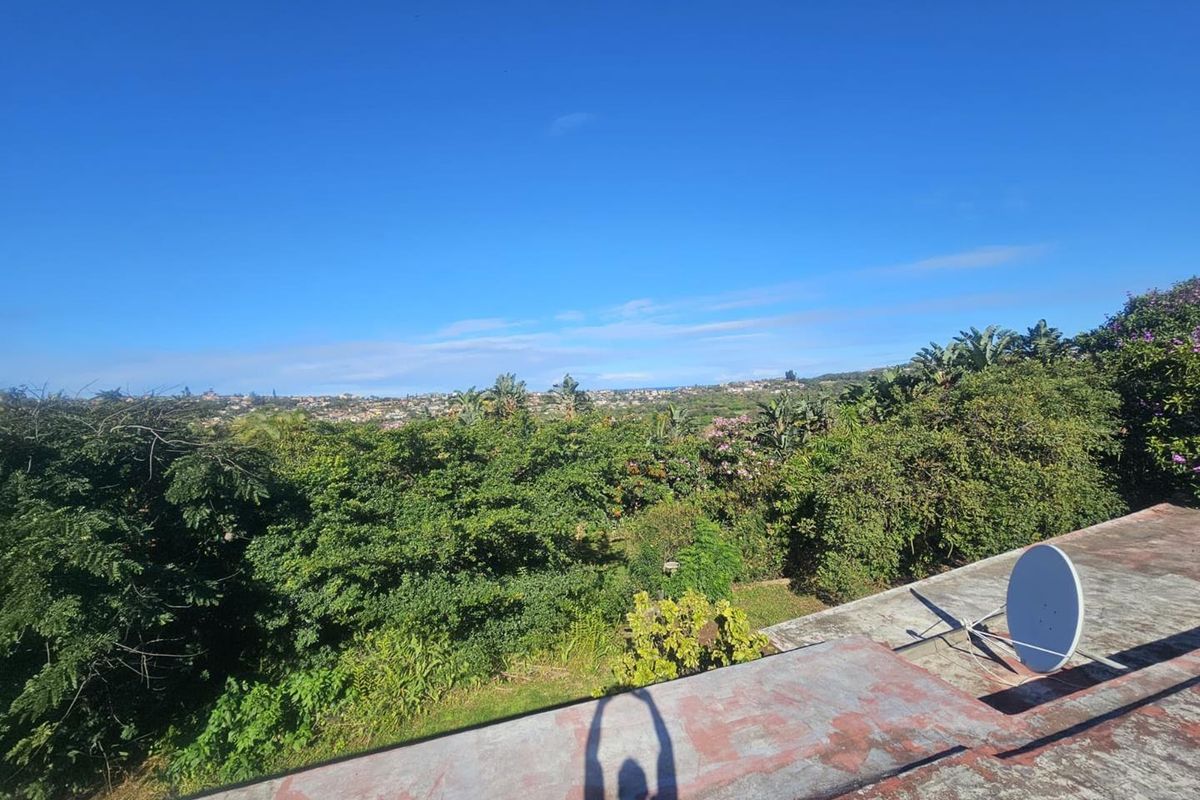 An elevated view overlooking lush greenery and the surrounding neighborhood, featuring a satellite dish mounted on the weathered roof surface.