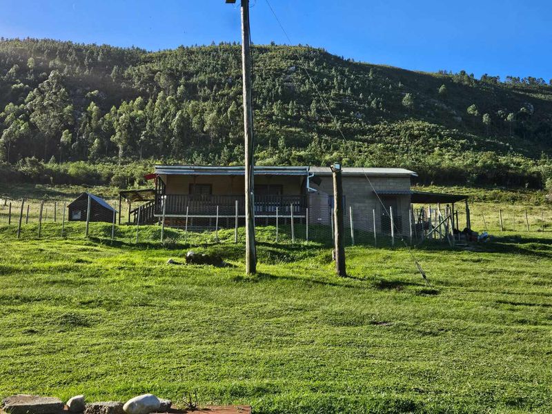 Charming 1-bedroom Farm Cottage for Lease on a farm in Van Staden’s River East - Photo 7