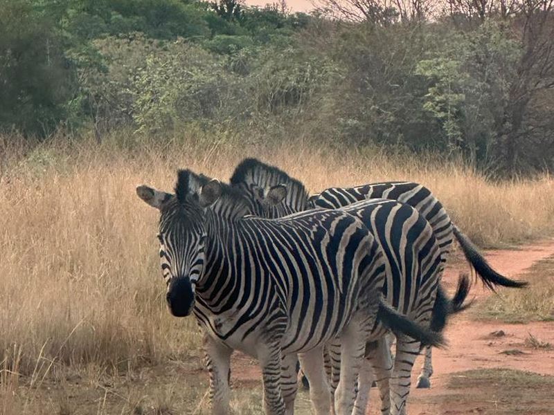 Serenity, comfort and a touch of wild - Photo 10