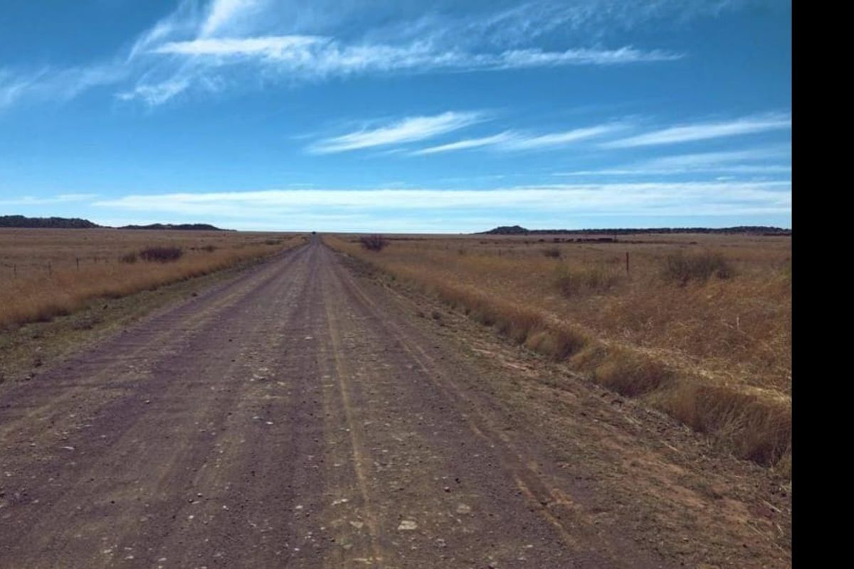 EXCELLENT CATTLE FARM 65 KM FROM BLOEMFONTEIN.NO BUILDINGS - Photo 5