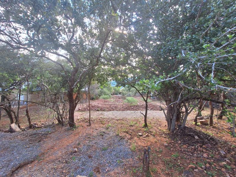 A view of a residential vacant land plot featuring mature trees and cleared ground, offering a natural setting for future development.