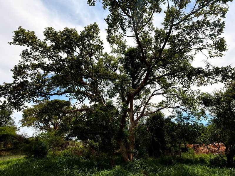 Kampersrus – Bedford Estate | Secluded Vacant Stand for sale with Mountain Views - Photo 7