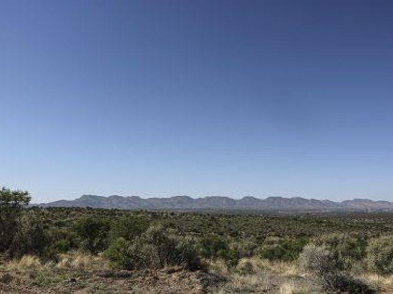 Herboths Blick - Woodlands - 31 premium plots, sold per hectare. - Photo 4