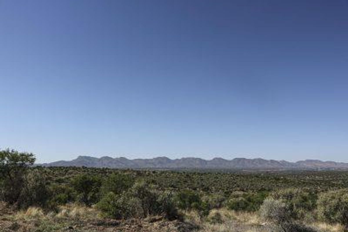 Herboths Blick - Woodlands - 31 premium plots, sold per hectare. - Photo 4