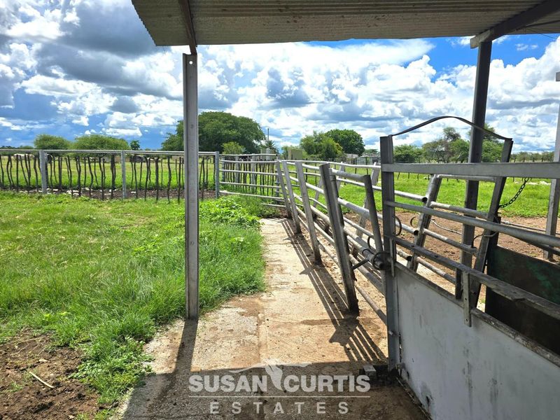 Lovely Cattle Farm - Photo 10