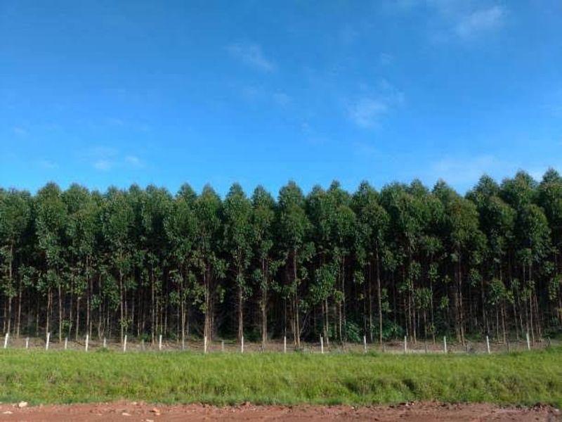Farms for sale in Vryheid Area - Photo 2