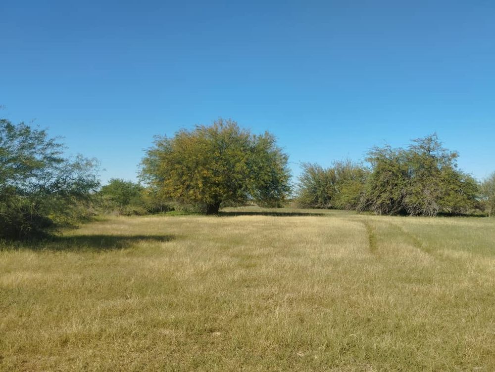 overview of farm land