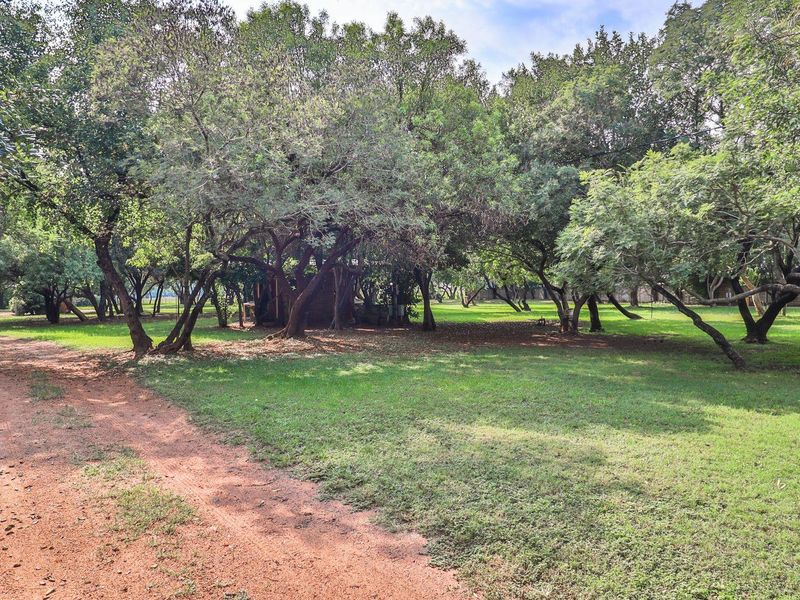 Own a Slice of Bushveld Paradise: Game, Farm, Resort & More! - Photo 3