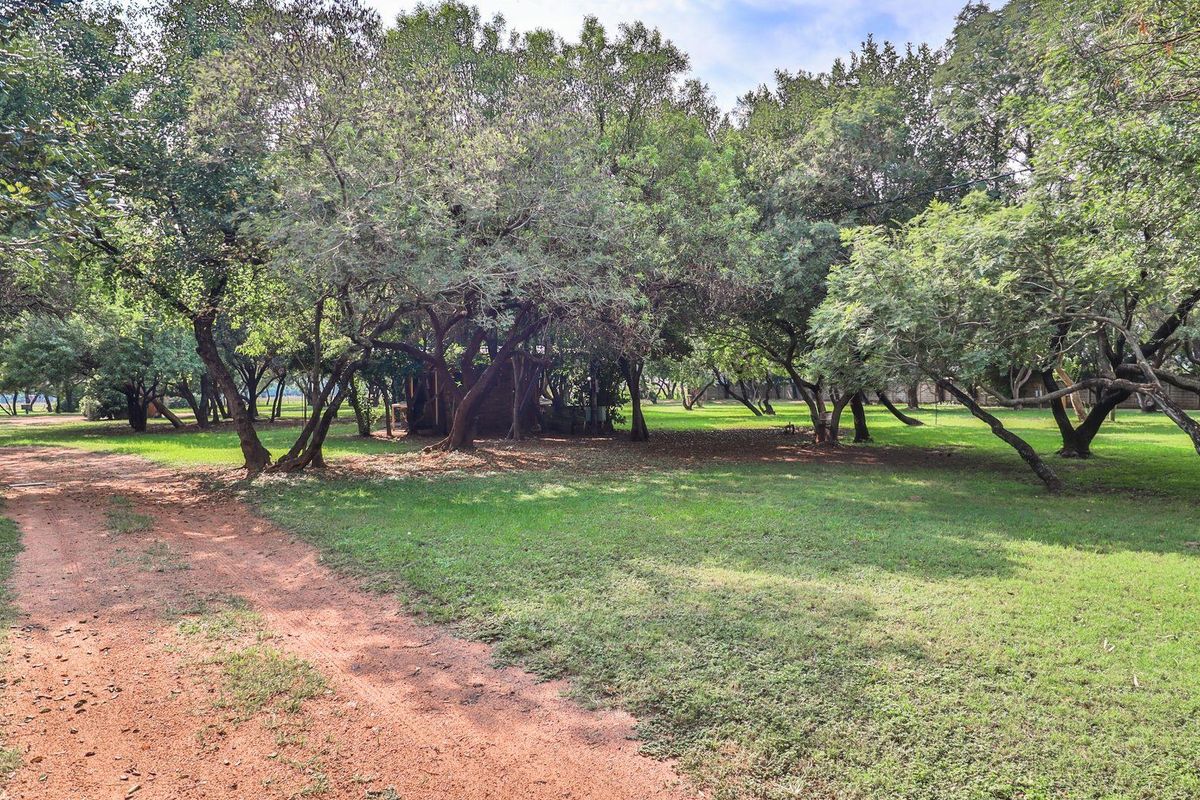 Own a Slice of Bushveld Paradise: Game, Farm, Resort & More! - Photo 3