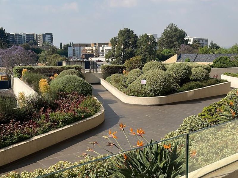 A well-maintained elevated terrace featuring a glass balustrade, tiled flooring, and established landscaped garden beds with panoramic neighbourhood views.