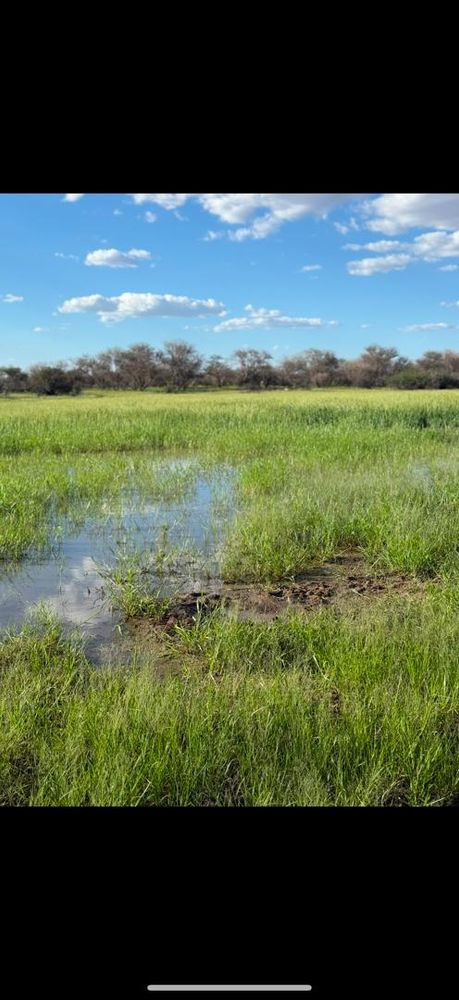 View of the field on the Farm