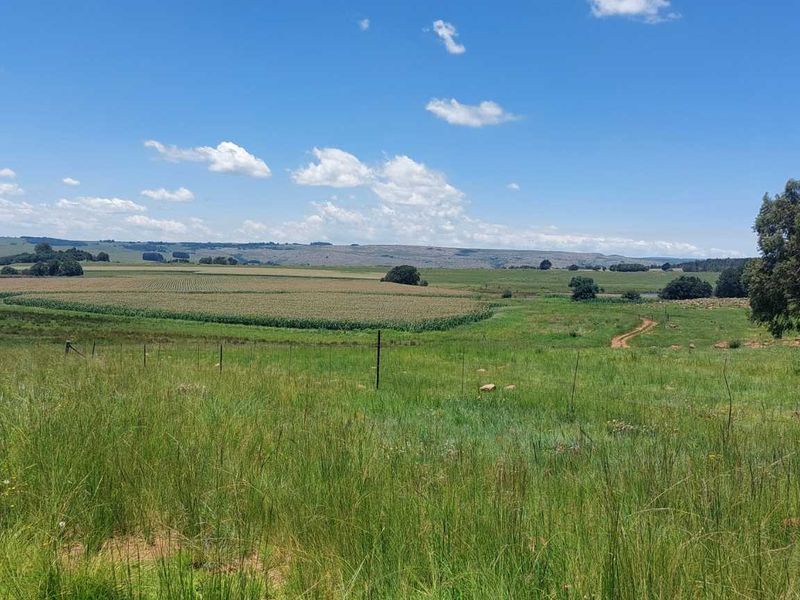 600ha Multi-Income Farm & Lifestyle Estate – Belfast / Dullstroom Area - Photo 6