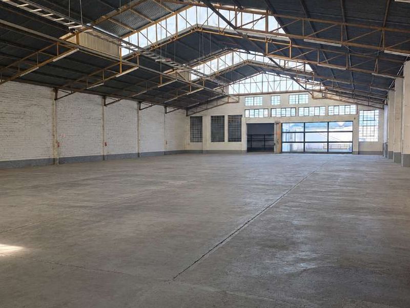 Spacious industrial warehouse featuring high-clearance steel truss roofing, concrete flooring, and abundant natural light through integrated skylights and large industrial access doors.