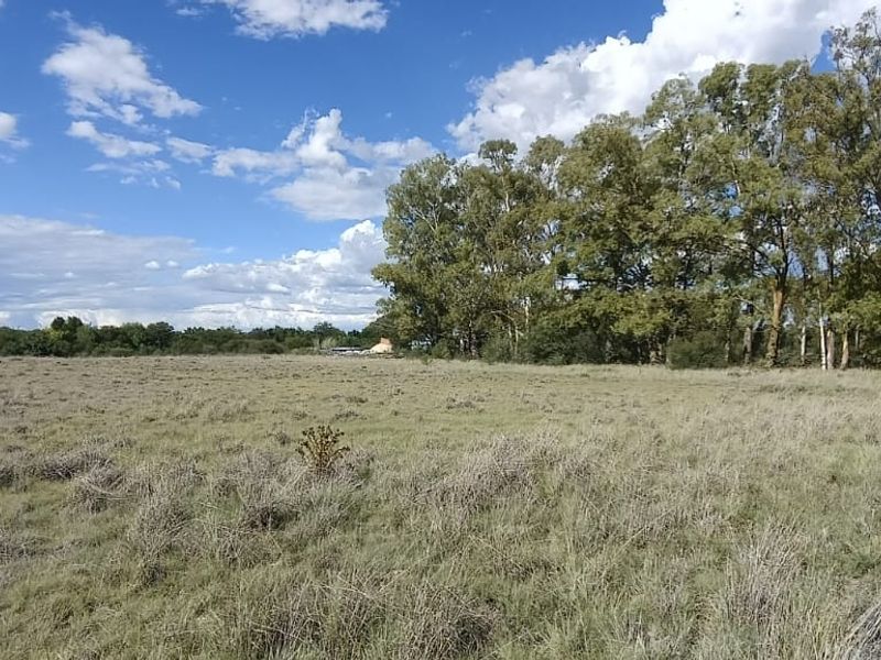 VACANT LAND. VERY SAFE AREA.   AFFORDABLE PRICE. ONE SIDE HAVE  A SMALL BUSHY AREA. - Photo 3