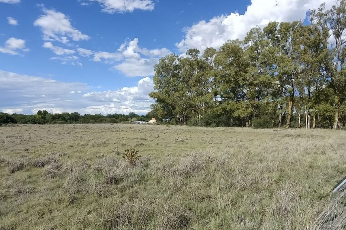 VACANT LAND. VERY SAFE AREA.   AFFORDABLE PRICE. ONE SIDE HAVE  A SMALL BUSHY AREA. - Photo 3