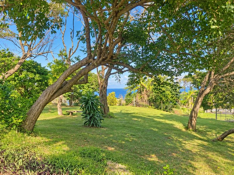 A spacious, well-maintained garden area featuring mature trees and lush green lawn, offering a serene outdoor setting with distant ocean views.