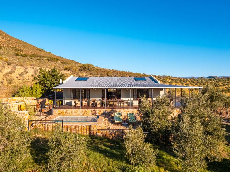 AN INVESTMENT IN PEACE, PURPOSE AND UNPARALLELED BEAUTY - ORGANIC OLIVE FARM FOR SALE - Photo 8