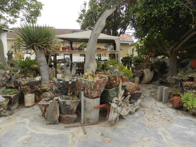 Bargain Home for sale in Henties! - Photo 4