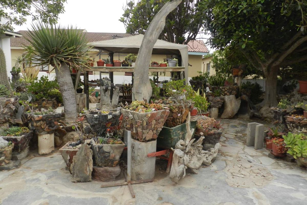 Bargain Home for sale in Henties! - Photo 4