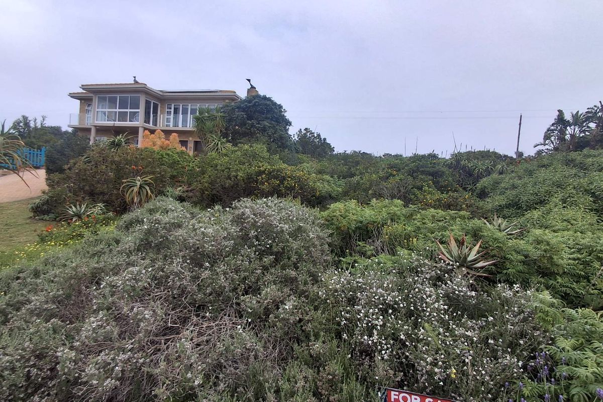A view of a residential vacant land plot featuring established native vegetation and landscaping, with a neighboring property visible in the background.