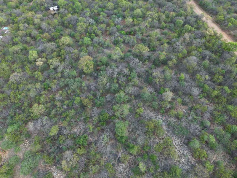 An aerial view of a vacant residential plot featuring dense indigenous bushveld vegetation and an adjacent dirt access road.