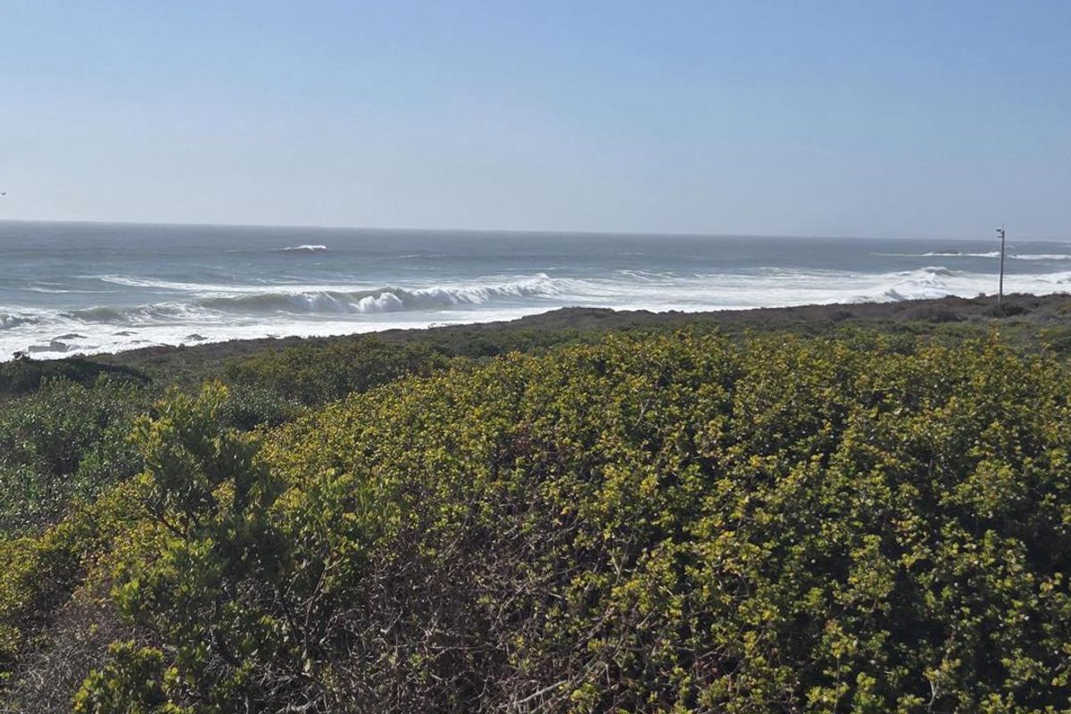 Wake Up at the Sea: Level 798m2 Stand in Exclusive Coastal Nature Reserve - Photo 3