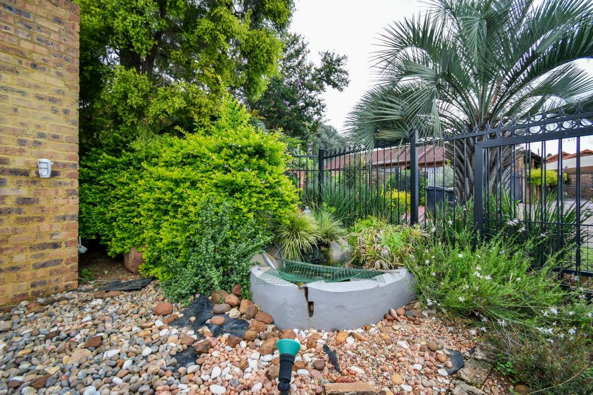 Charming cosy cottage in a quiet street with an artful colourful soul. - Photo 3