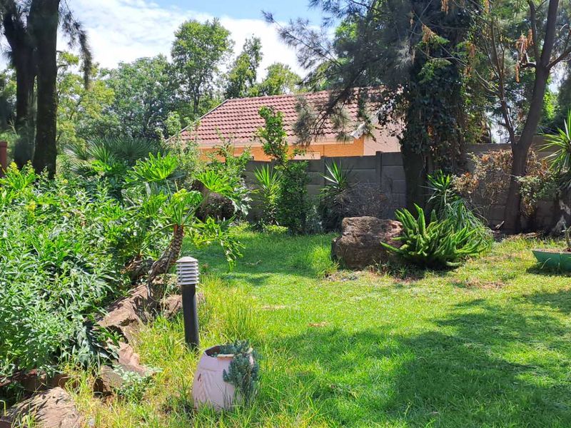 Everything you want.. - Photo 4