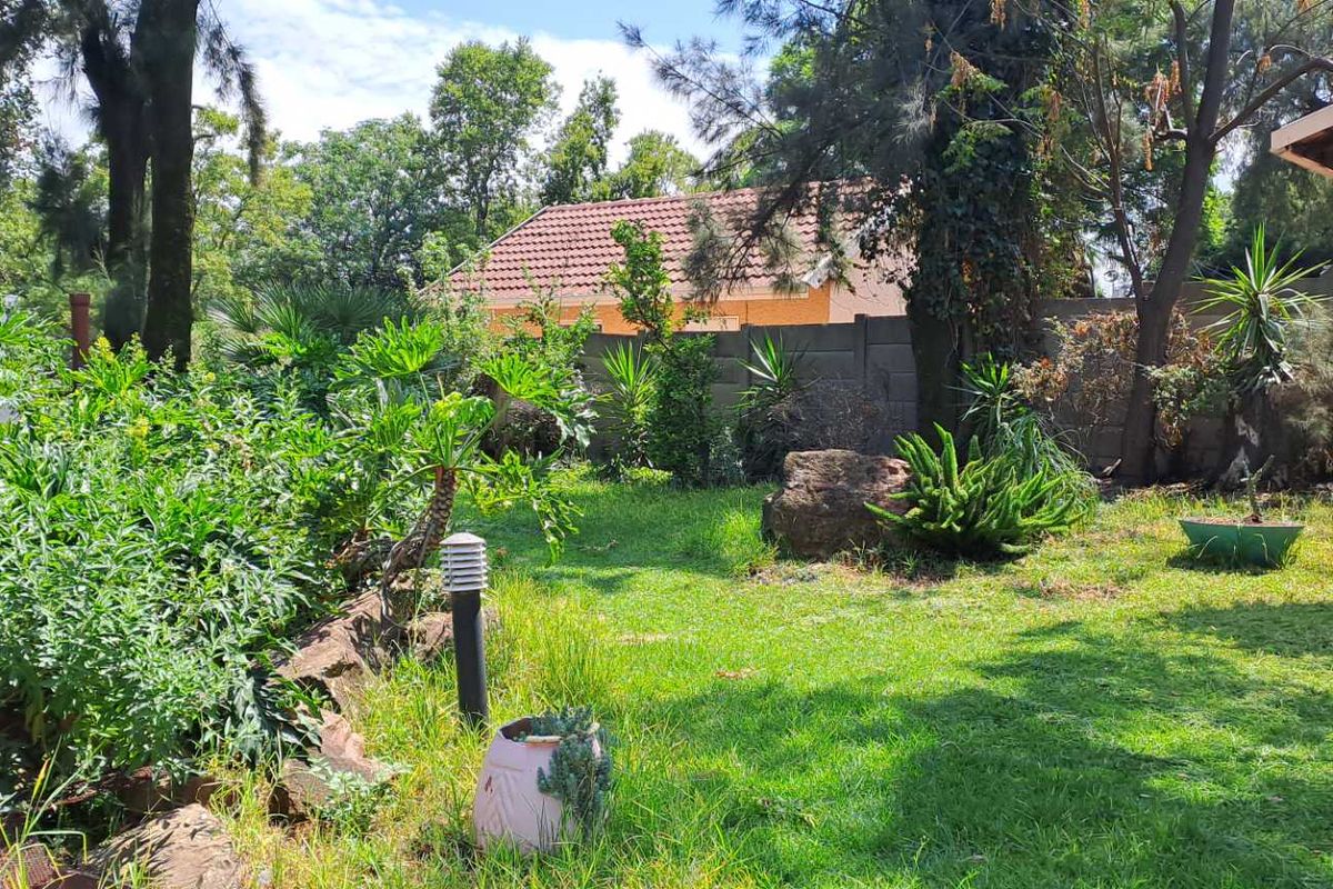 Everything you want.. - Photo 4