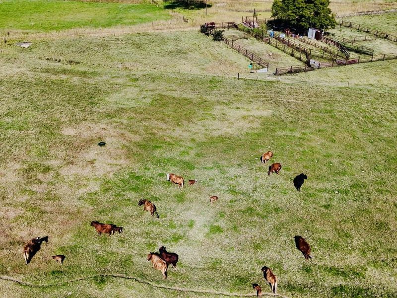 Farm for sale in the Vryheid area. - Photo 7