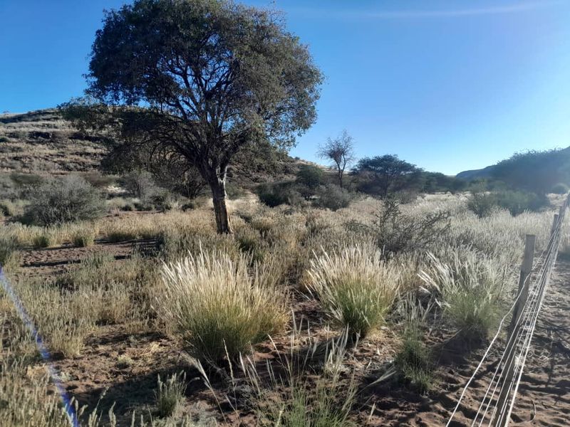 Exceptional farming opportunity just 75 km Southeast of Keetmanshoop! - Photo 7