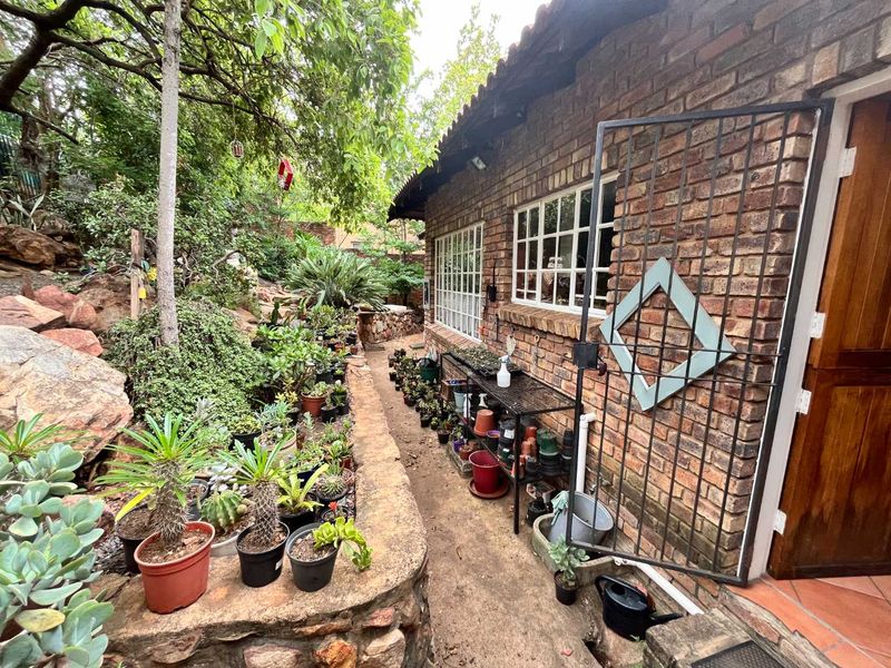 Close to nature in the city! - Photo 8