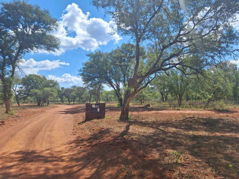 Exclusive Stand Awaits - Discover Serenity - Photo 4