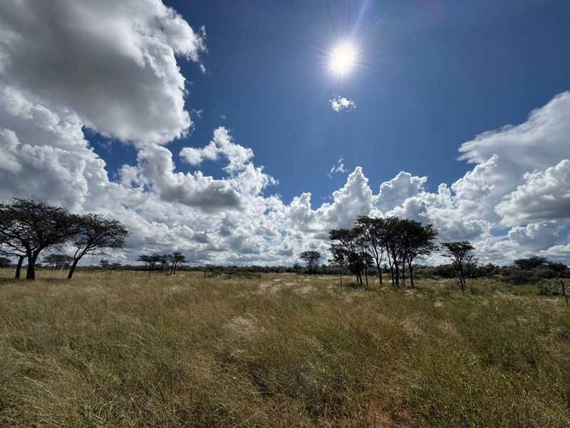Discover this incredible 4500ha farm offering a perfect blend of modern infrastructure, abundant water resources, and rich wildlife - Photo 4