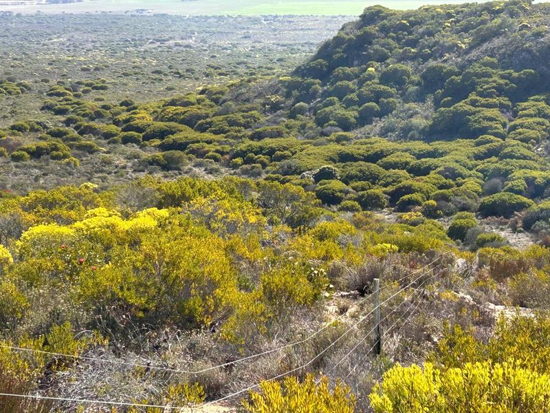 EXCEPTIONAL BEAUTIFUL VERSITILE FARM TO DEVELOP. TOURIST ATTRACTION - Photo 9