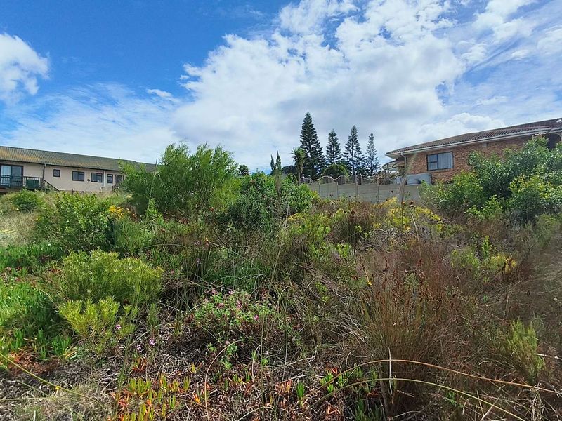 Spacious 900m2 Vacant Land For Sale in Dana Bay - Photo 4