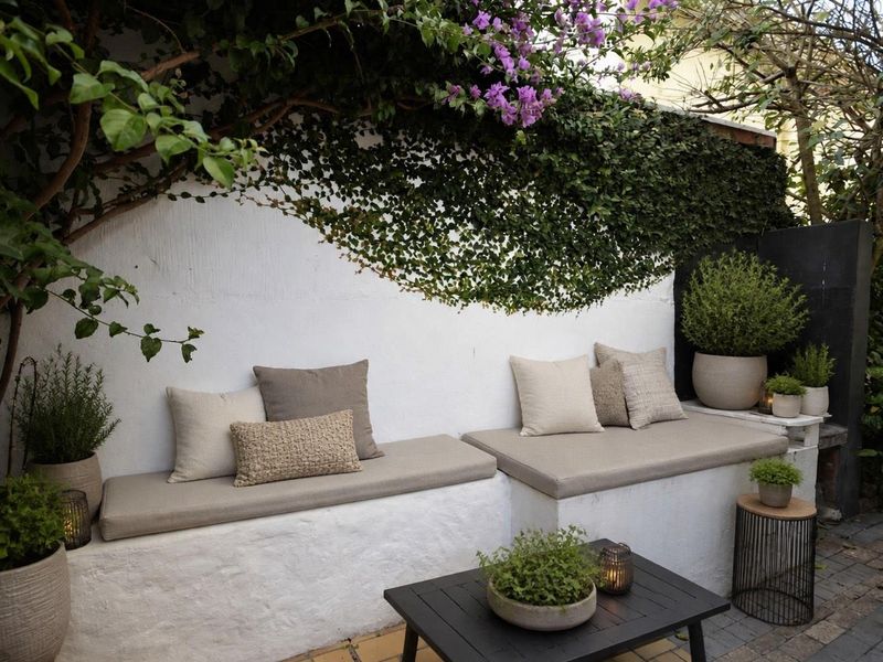 A charming outdoor patio area featuring built-in masonry bench seating and established climbing greenery against a white wall.