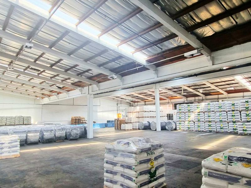 Warehouse to Let | New Germany | 1,105 m2 | 4 Doors - Photo 6