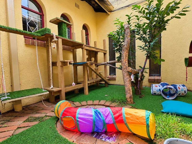 A sheltered outdoor courtyard area featuring brick paving, artificial turf, and arched window detailing, currently utilized as a pet play space.