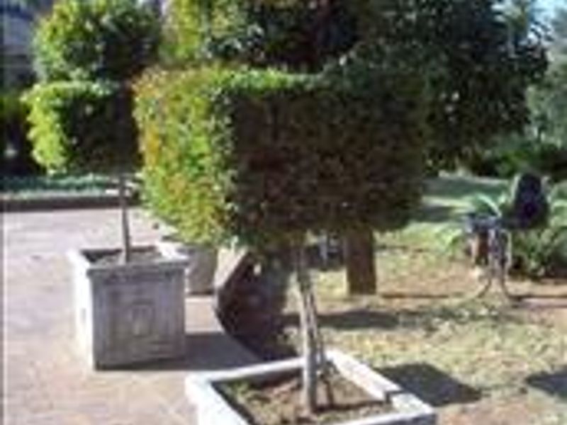 Farm for sale in Zwartkop - Photo 8