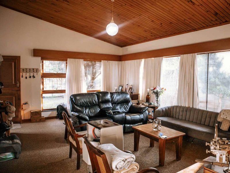 A spacious living room featuring a high timber-clad vaulted ceiling, large windows providing ample natural light, and carpeted flooring.