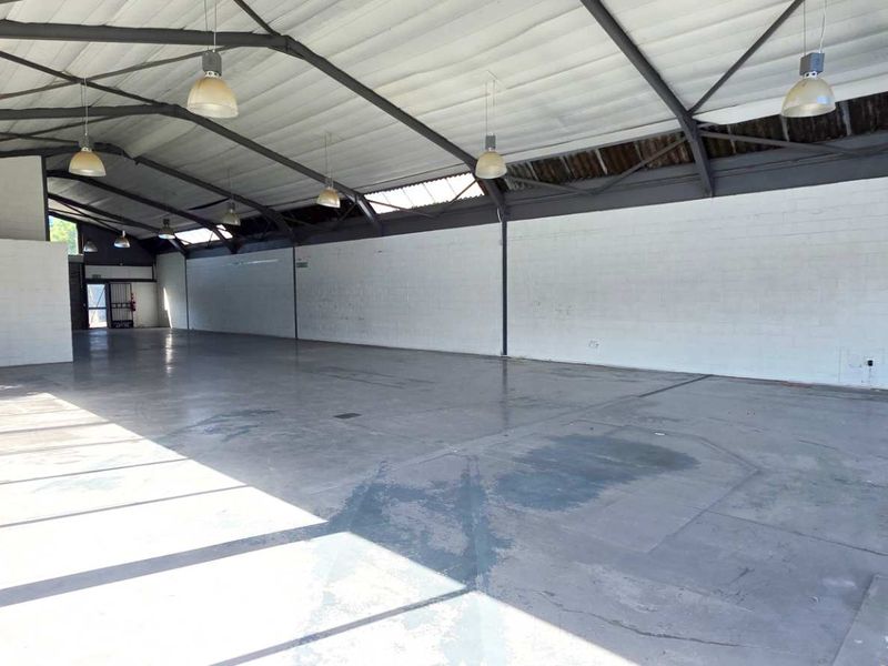 Brand New Retail Refurbishment in Tokai - Photo 3