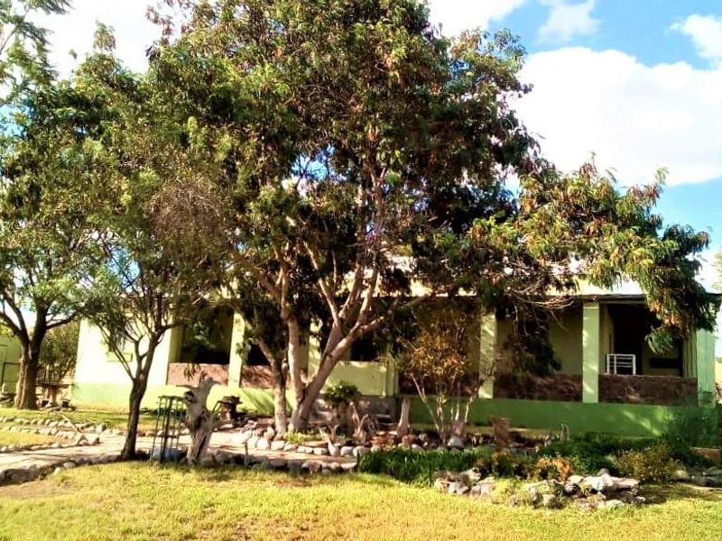 Expansive 9,654-Hectare Farm: Ideal for Agriculture & Serene Living - Photo 8