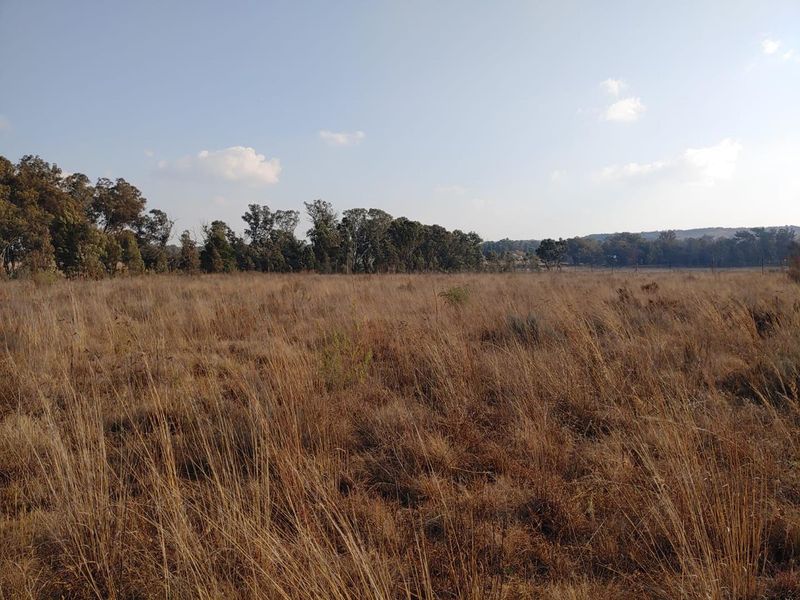 Secure 2.25ha Corner Stand Vacant Land with Water - Photo 9