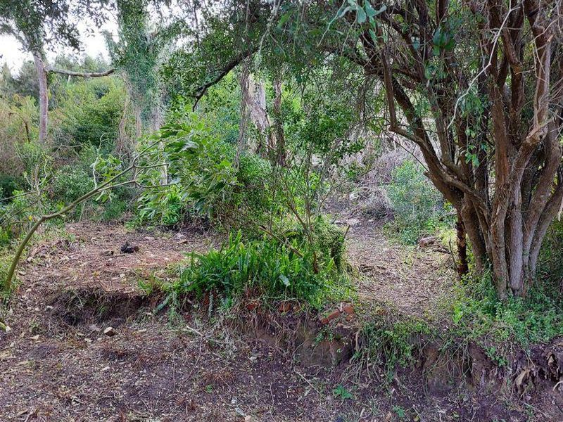 Vacant Land in Paradise - Photo 6