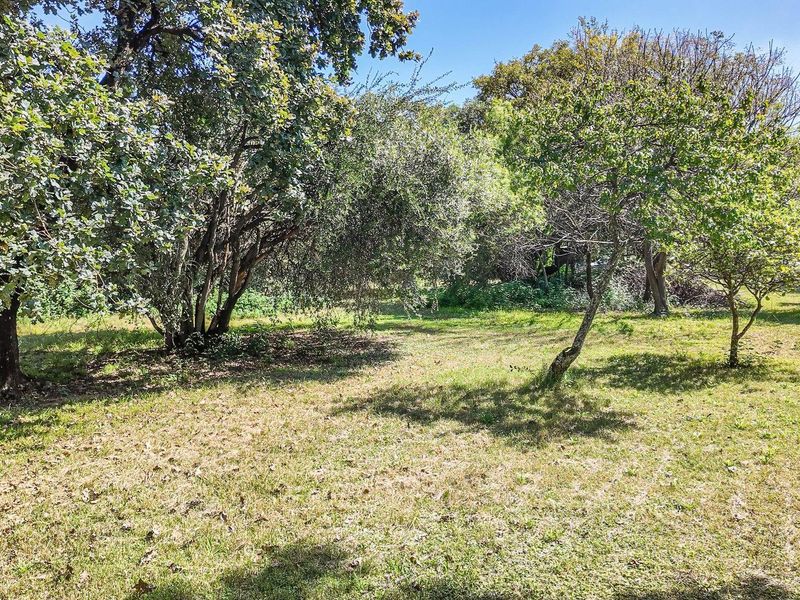 A spacious, mature garden area featuring established trees and natural landscaping, offering a private and tranquil outdoor setting.