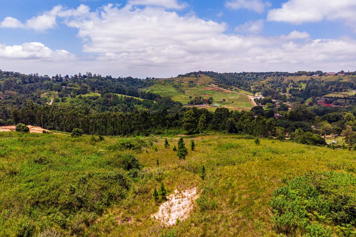 An aerial view of a large, undeveloped residential plot featuring natural vegetation and scenic rolling hills in the background.