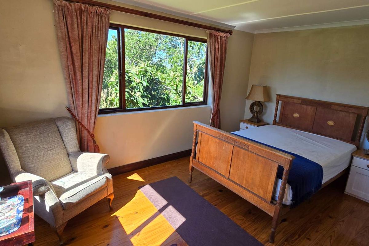 A cozy bedroom featuring polished timber flooring, large windows with natural light, and neutral wall finishes.
