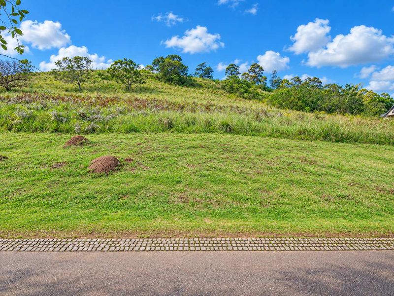 A view of a sloped, grassy residential vacant land plot adjacent to a paved road, featuring natural vegetation and a clear sky.
