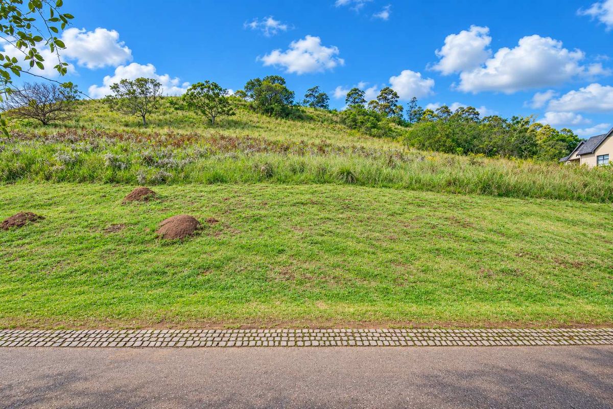 A view of a sloped, grassy residential vacant land plot adjacent to a paved road, featuring natural vegetation and a clear sky.
